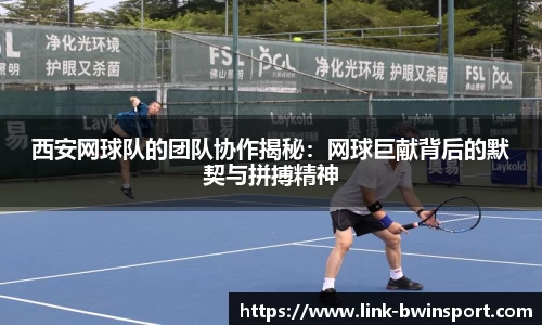 关键词4